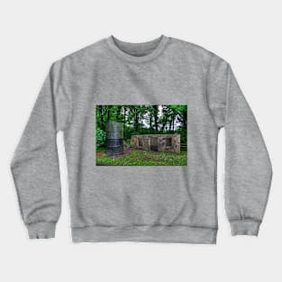 The Age of Steam Crewneck Sweatshirt